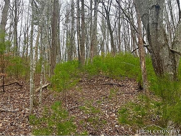 1st image of 397 Banjo Ridge Rd