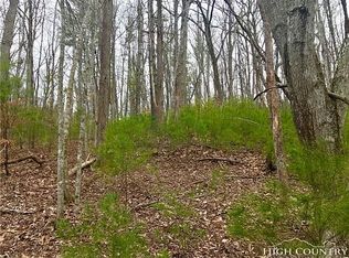 397 Banjo Ridge Rd, Butler, TN 37640