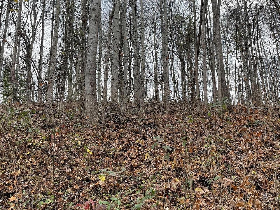2nd image of 0 Norris View Ln Lot 21