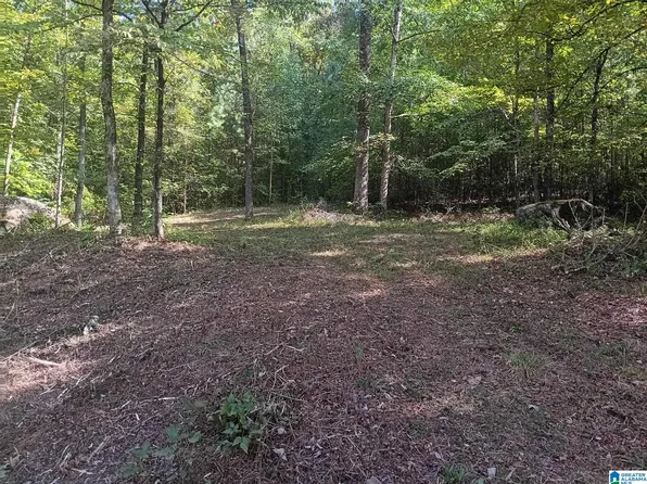 0 Valley Cir Lot 579, Warrior, AL 35180