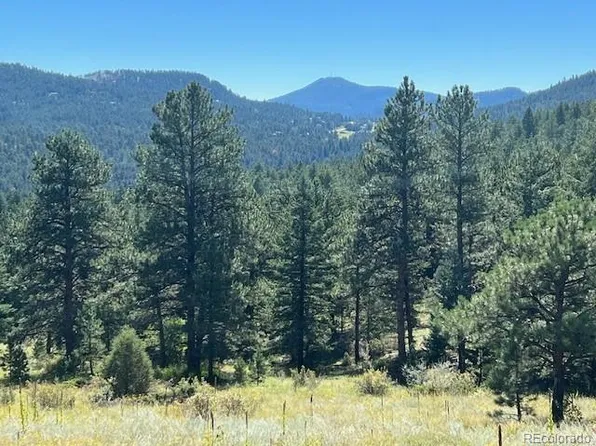 TBD Barney Gulch Road, Conifer, CO 80433
