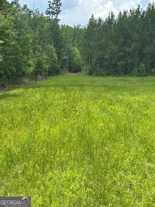 0 Jordan Rd, Waverly Hall, GA, 31831