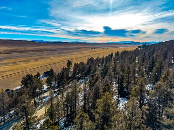 1423 Redhill Road, Fairplay, CO 80440