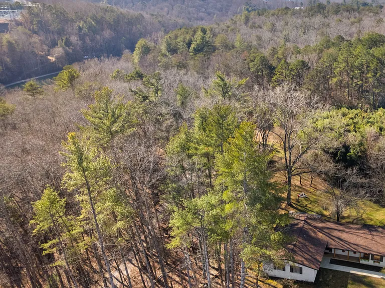 Blue Ridge Dr — Photo 33