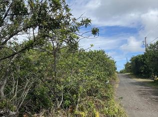 LOT 11 Lot 11, Naalehu, HI 96772