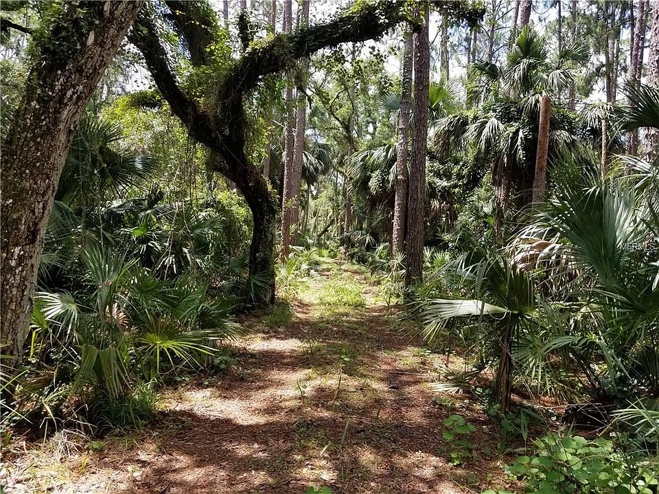 1289 Tall Pines Dr Osteen FL Zillow