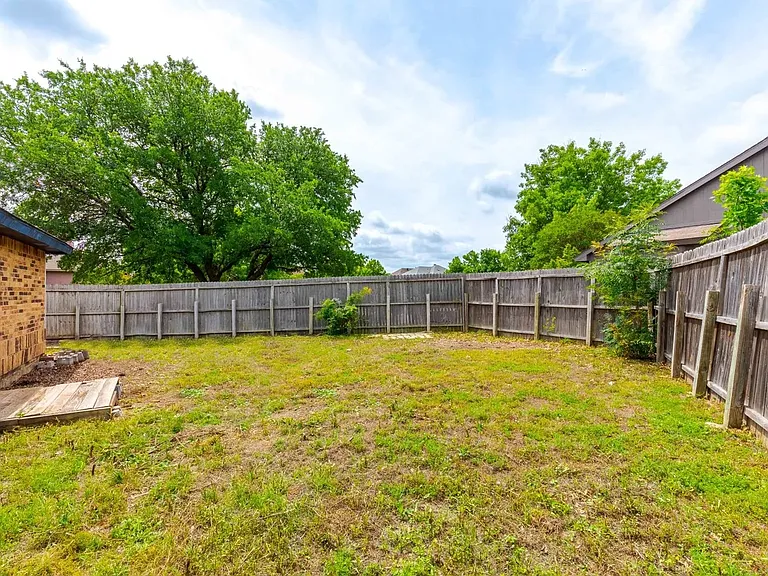 back yard