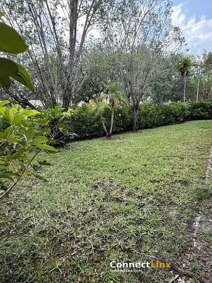 449 Silver Palm Way — Photo 19