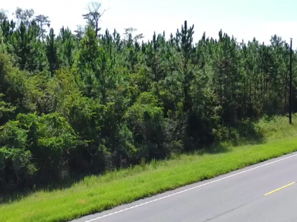 E/s Of Pearson Highway At Cowart Rd, Homerville, GA 31634