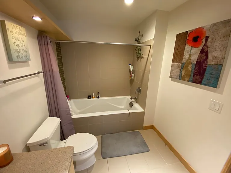 309 W Washington Ave #602 — Photo 7