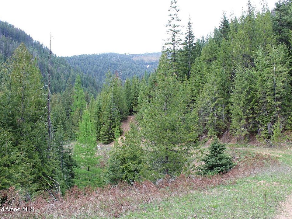 1st image of 19A Daisy Gulch Rd