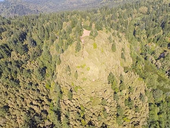 5th image of Grizzly Mountain Road