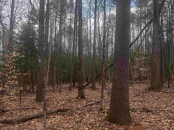 3rd image of 00 Chapman Road