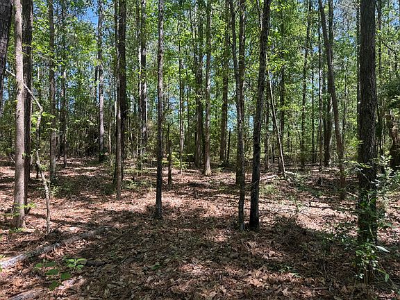 4th image of Hamp Jones Rd