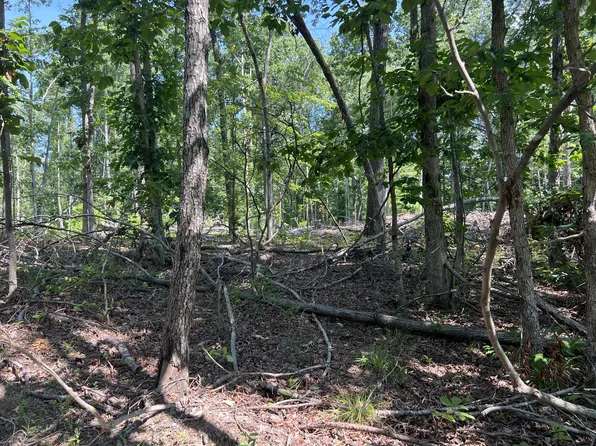 1399 Turnpike Rd Lot 2, Summertown, TN 38483