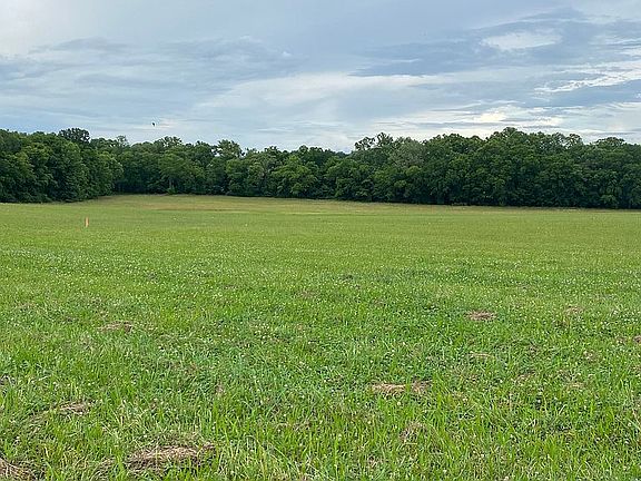 2nd image of 00 Collins Ln