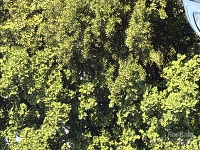 0 Summit Ridge Ln, Denver, NC, 28037