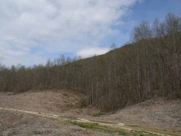 Valley Spring Rd, Rose Hill, VA 24281