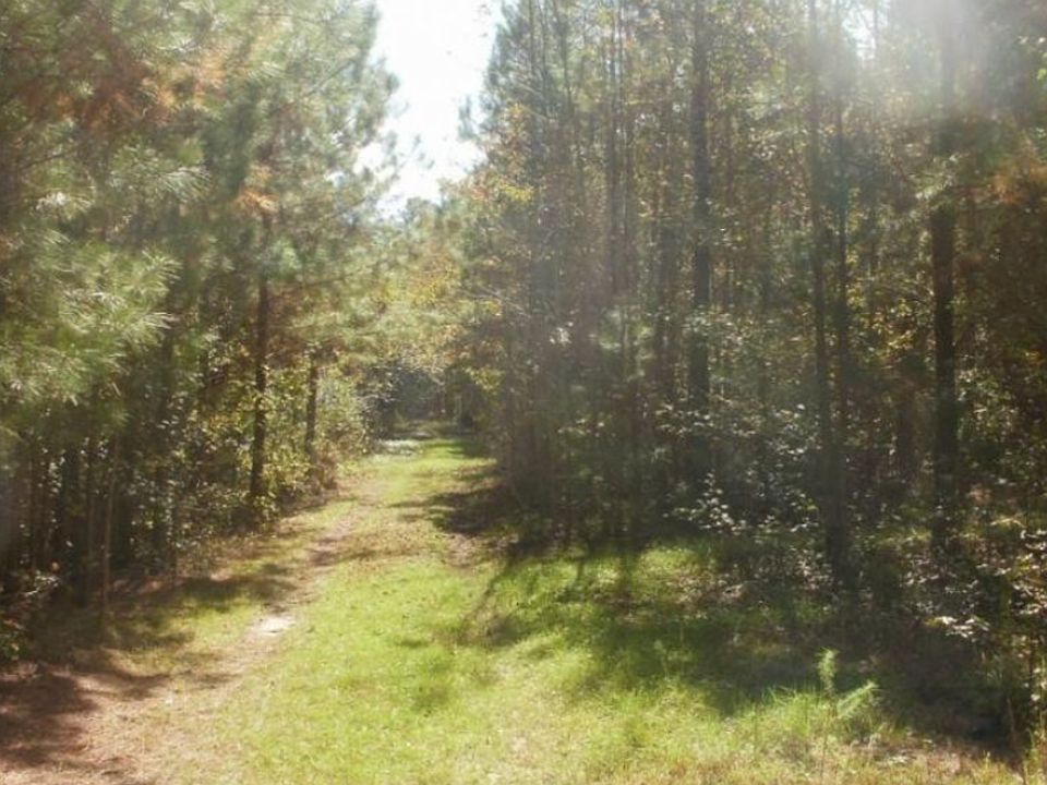 2nd image of 1 Brock Rd