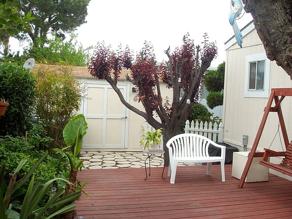 Redwood deck and peace