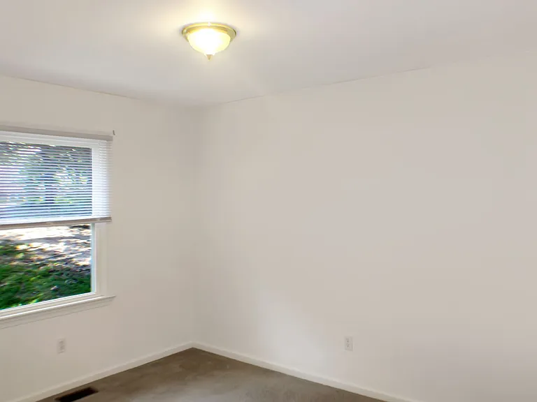 4652 Three Notch D Rd — Photo 11