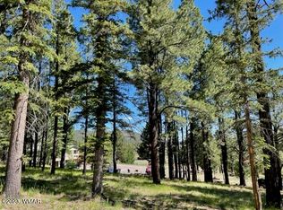 2 N 1102nd Dr, Greer, AZ 85927