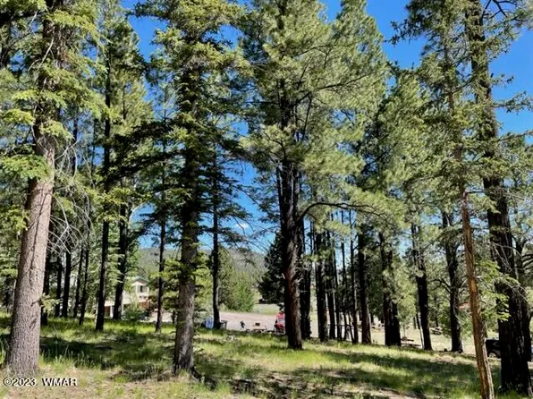 2 N 1102nd Dr, Greer, AZ 85927