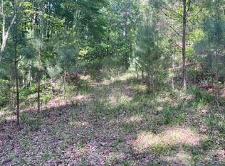 640 Nugget Ln, Ellijay, GA 30540