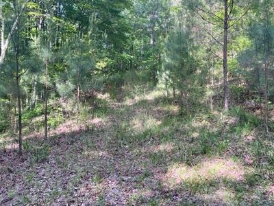 640 Nugget Ln, Ellijay, GA, 30540