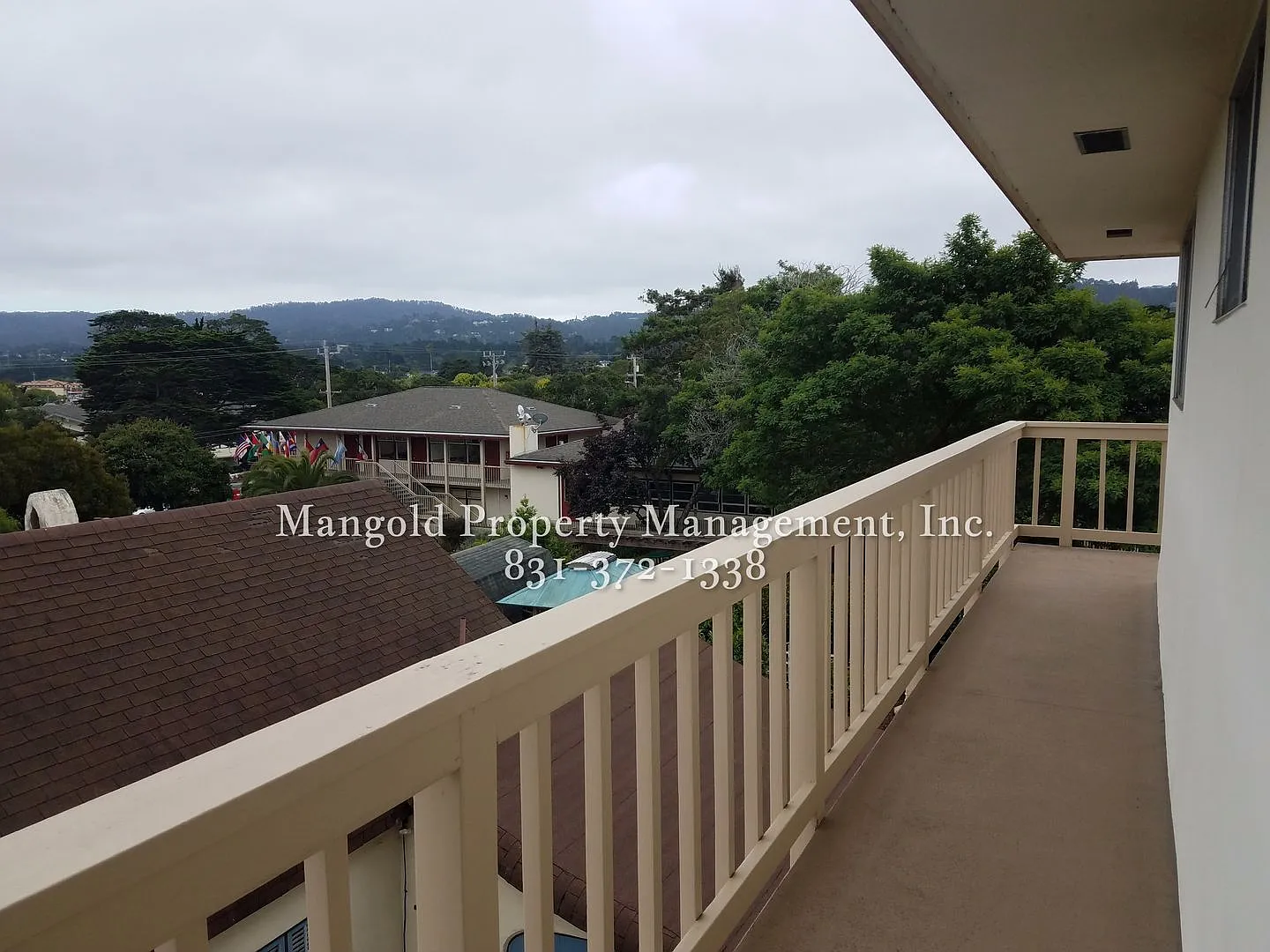 599fran — Photo 4