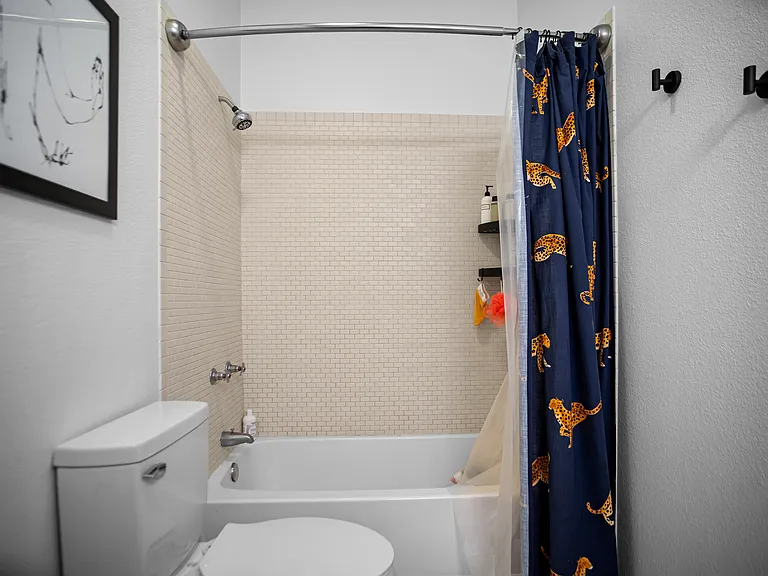 609 W Dickson St #212 — Photo 14