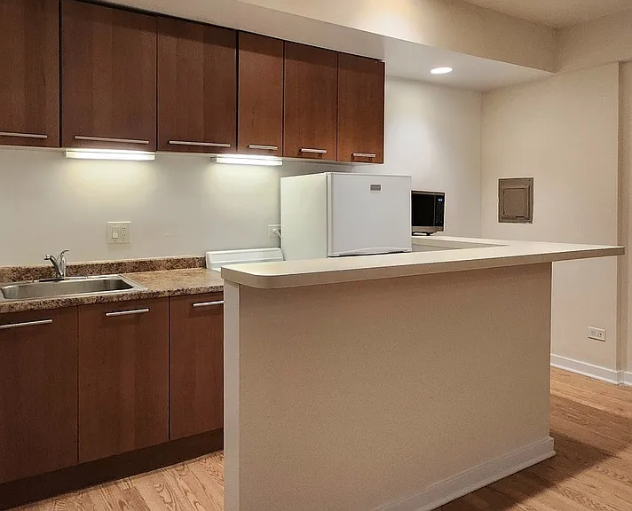 1504 N Dearborn Pkwy, Chicago, IL — Photo 83