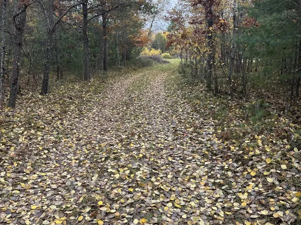 N Spite Ave, Grayling, MI 49738