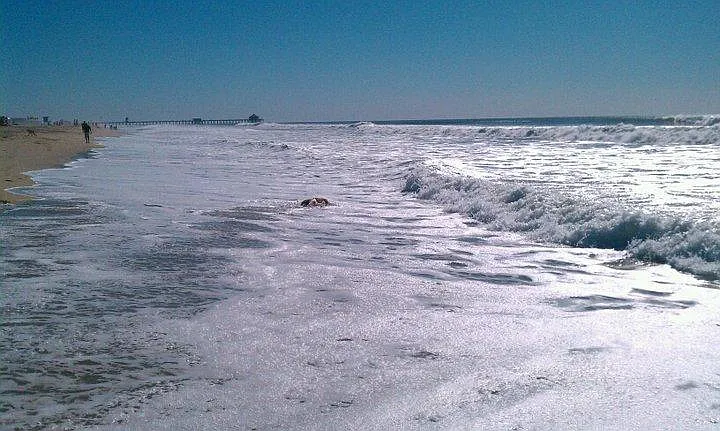 Soothing poetic sounds of Great ocean waves