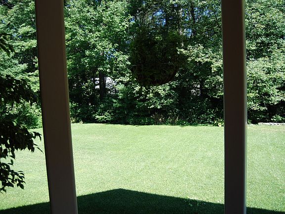 view from back porch