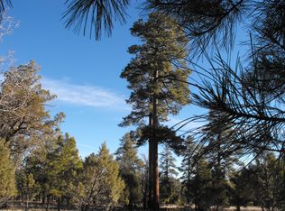 4349 Jack Pine Pl, Happy Jack, AZ 86024