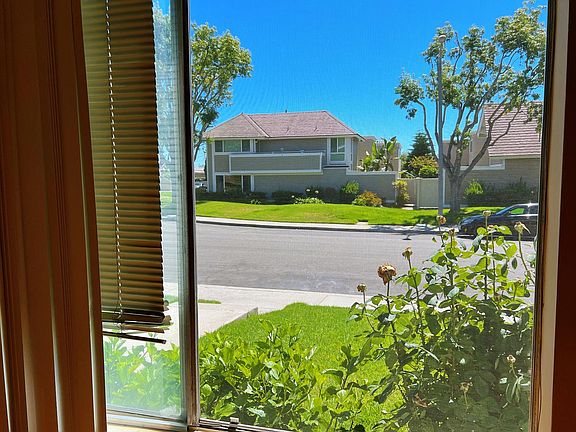 living room window