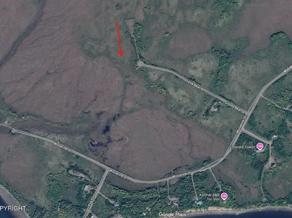 L13 Grizzly Bear St, South Naknek, AK 99670