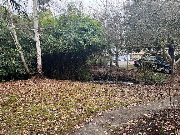 Front yard with piper_s creek