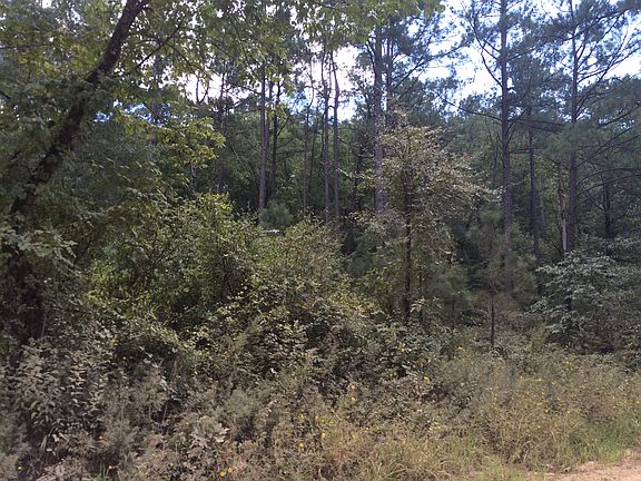 4th image of 50 Acres Broken Bow Rd