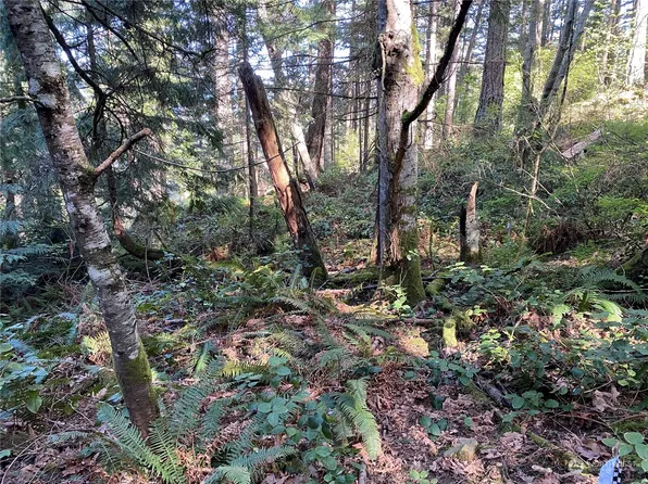 2861 Aiston Creek Rd, Lummi Island, WA 98262