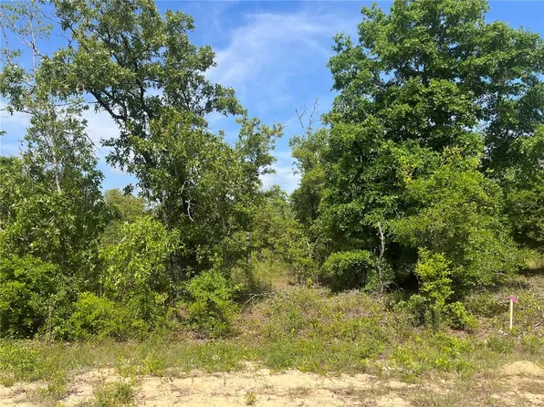 Rome Avenue Lot #14, Alford, FL 32420