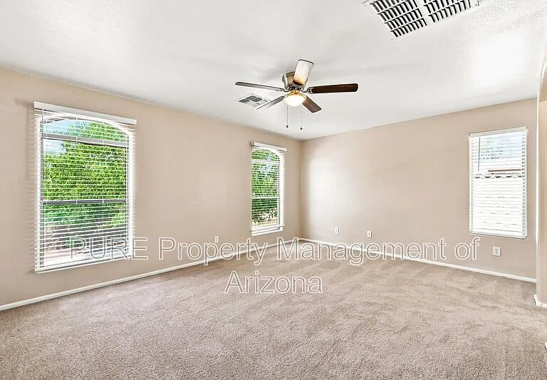 29785 N Blackfoot Daisy Dr — Photo 10