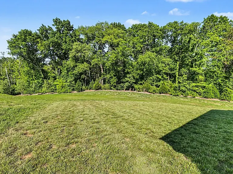 2439 Williams Ridge Dr — Photo 24
