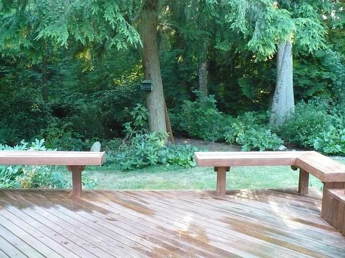 Back Yard / Greenbelt