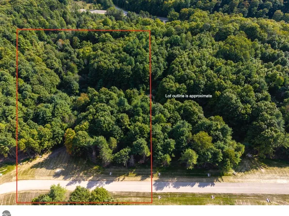 LOT 4 E Bellinger Rd, Cedar, MI 49621