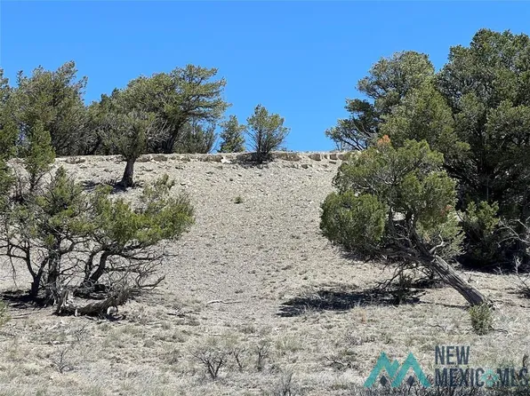 Buena Vista Dr, Tierra Amarilla, NM 87575