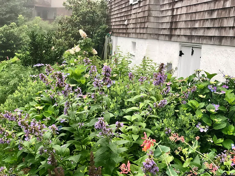5 High Street Ct — Photo 30