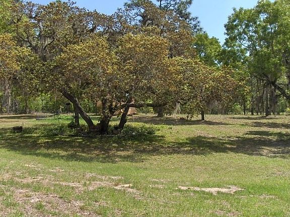 Back yard view