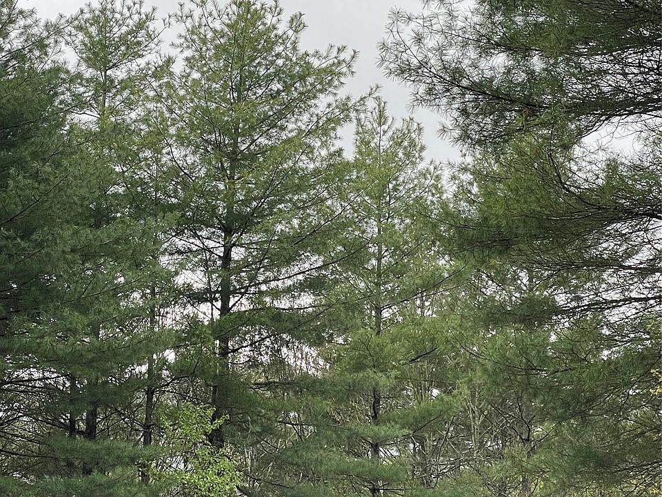 2nd image of Lot G- Bailey Lane